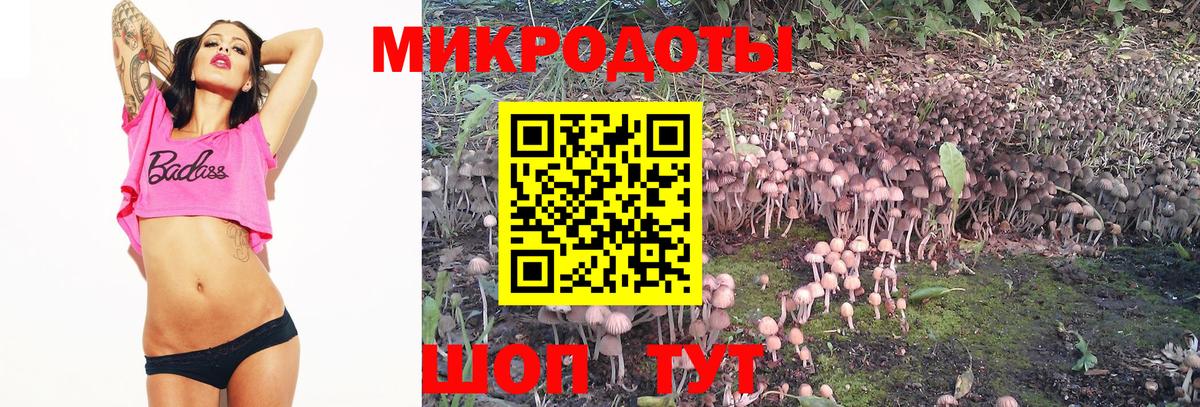 Псилоцибиновые грибы Magic Shrooms Благовещенск